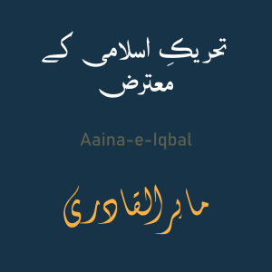تحریکِ اسلامی کے معترض